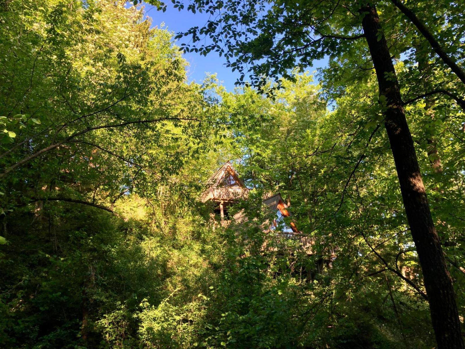 Отель Glamping Savinja Ljubno Экстерьер фото