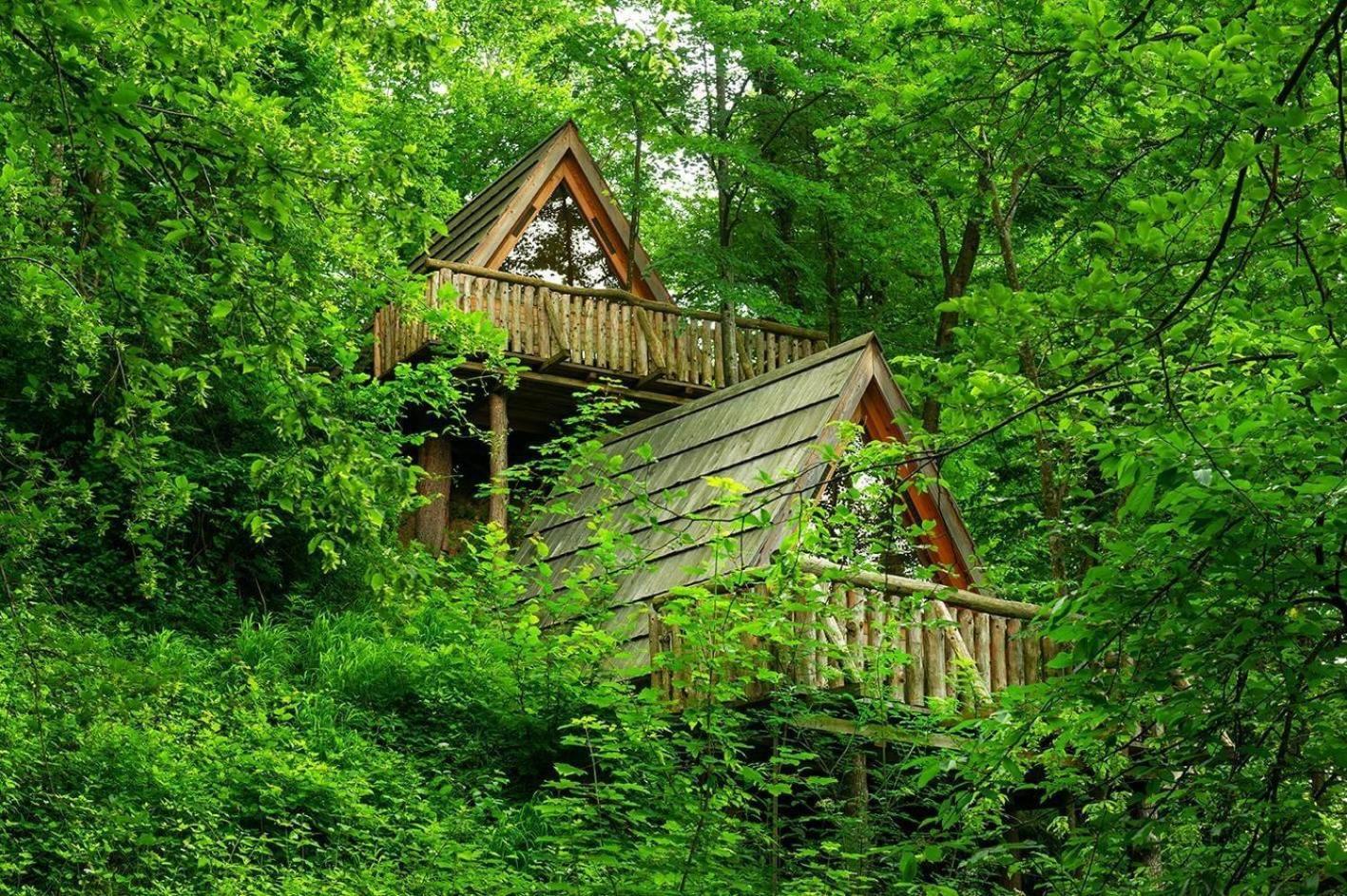Отель Glamping Savinja Ljubno Экстерьер фото