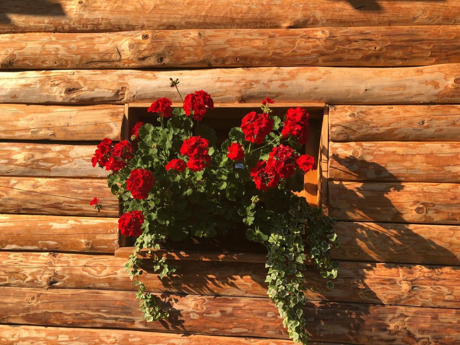 Отель Glamping Savinja Ljubno Экстерьер фото